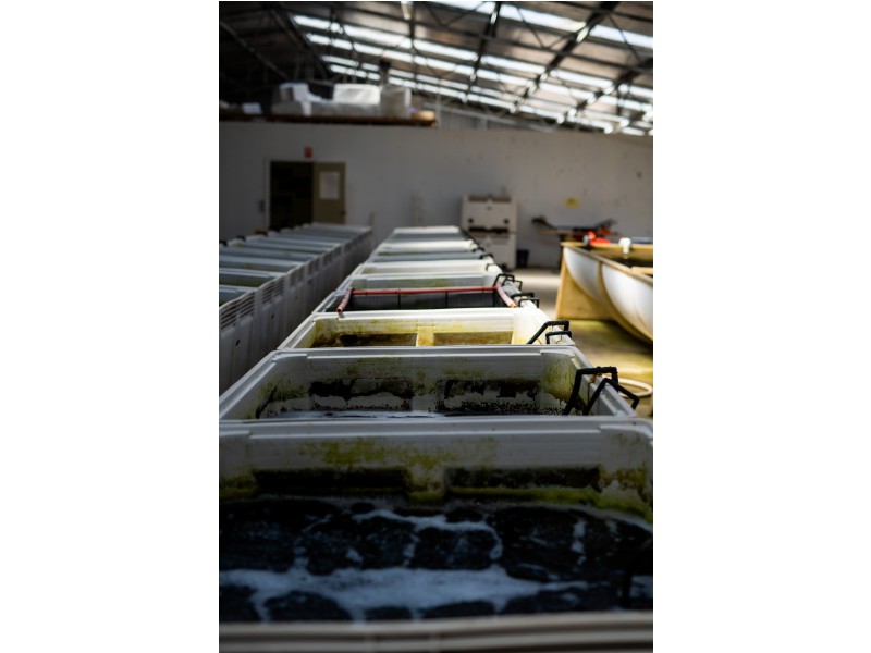 171 Bevic Road, Clarence Point TAS 7270