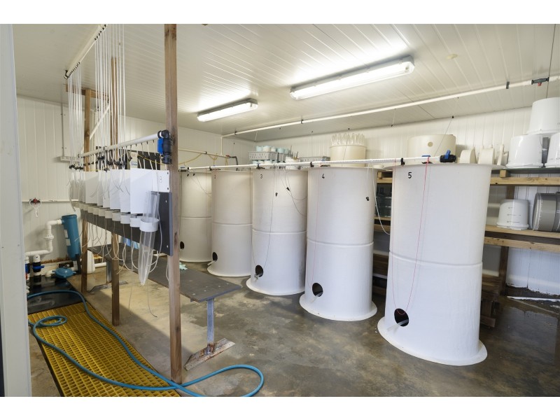 171 Bevic Road, Clarence Point TAS 7270