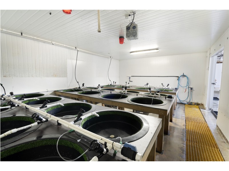 171 Bevic Road, Clarence Point TAS 7270