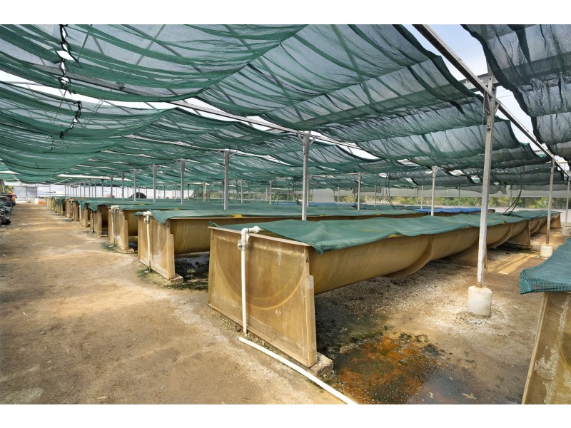 171 Bevic Road, Clarence Point TAS 7270