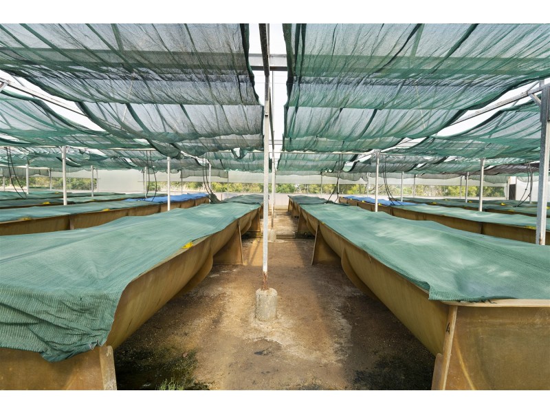 171 Bevic Road, Clarence Point TAS 7270