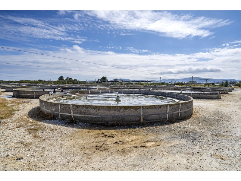 171 Bevic Road, Clarence Point TAS 7270