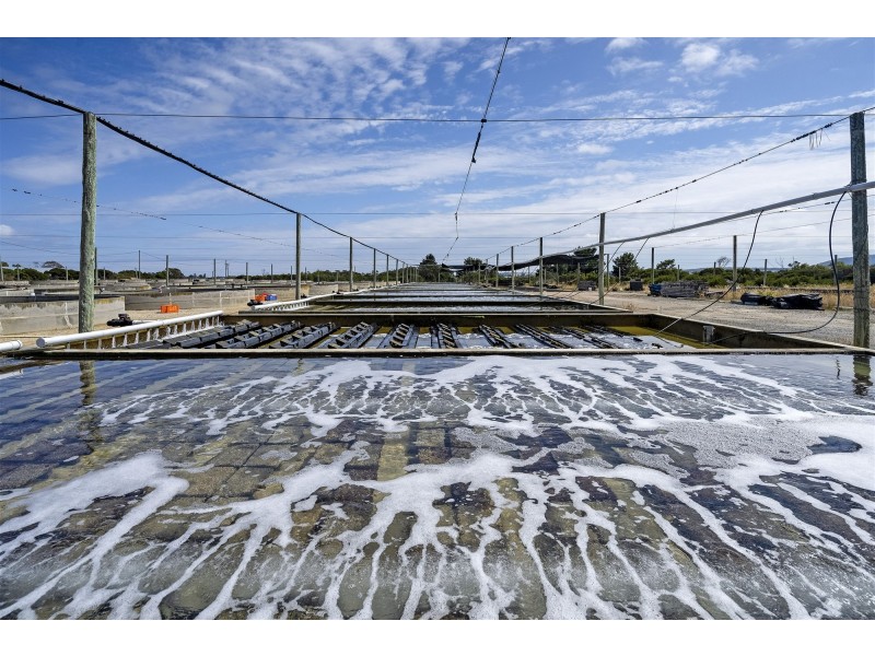 171 Bevic Road, Clarence Point TAS 7270