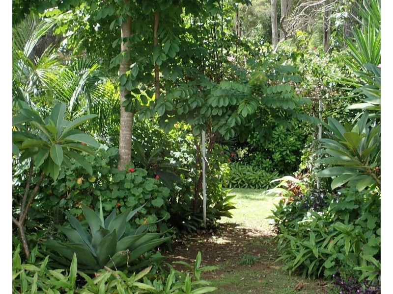 10 Greer Street, Kyogle NSW 2474