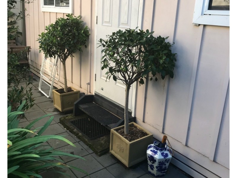 6/17  Merlin Street, Neutral Bay NSW 2089