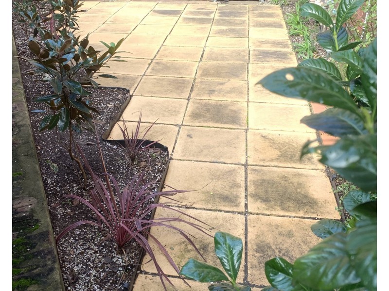 3/23 Waratah Avenue, Randwick NSW 2031