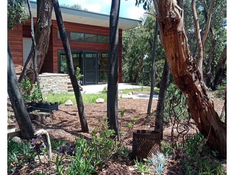 11 Hopkins street, Aireys Inlet VIC 3231