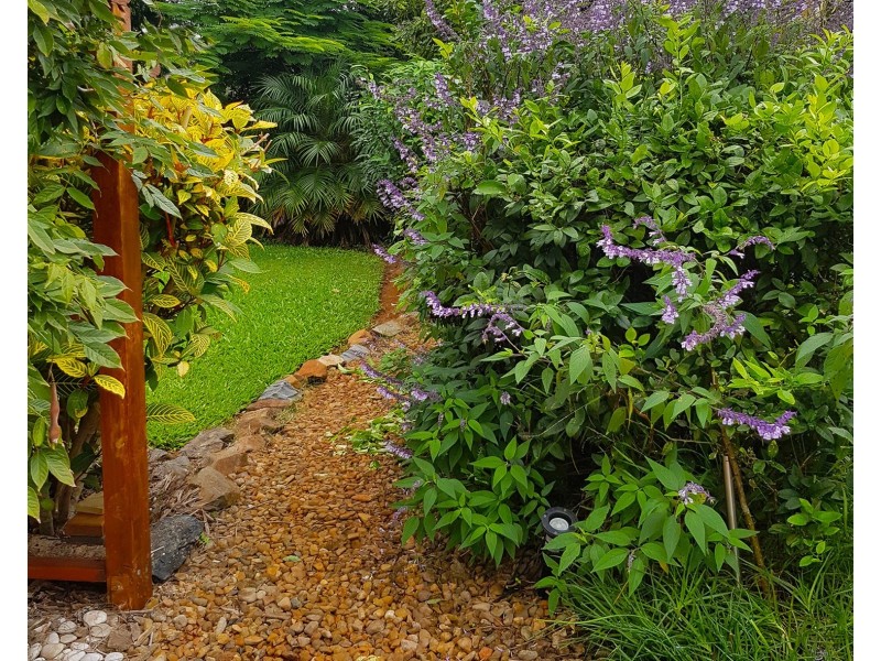 243 Guanaba Road, Tamborine Mountain QLD 4272