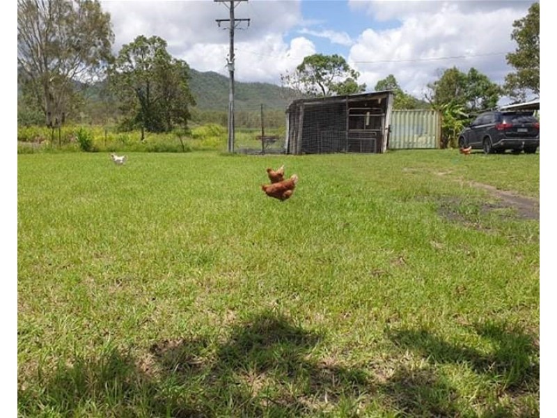 215 Mia Mia Connection Rd, Mirani QLD 4754
