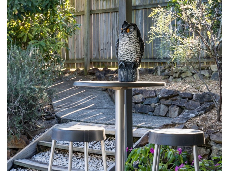 1 Regal Court, Highland Park QLD 4211