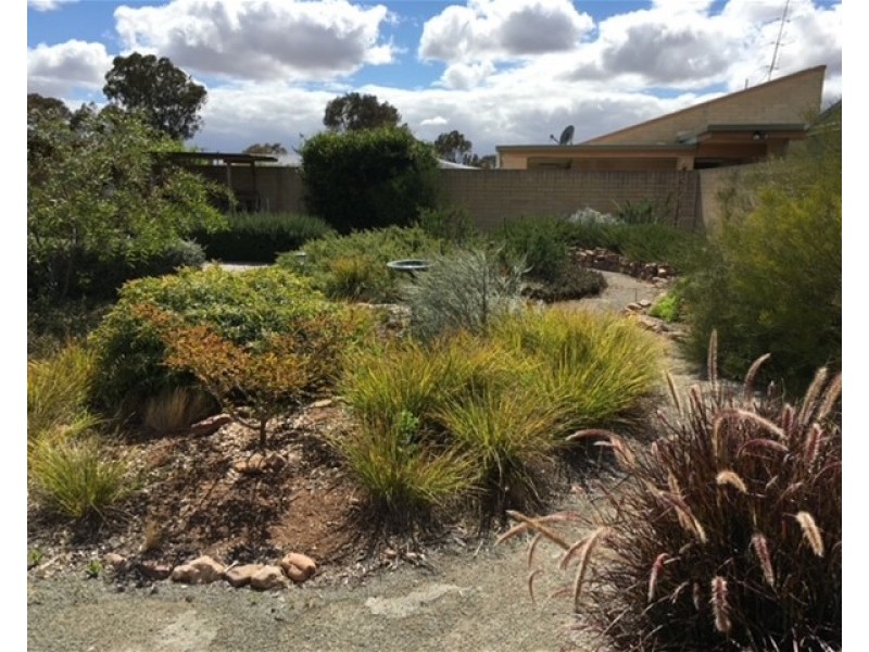 78 Railway Tce East, Snowtown SA 5520