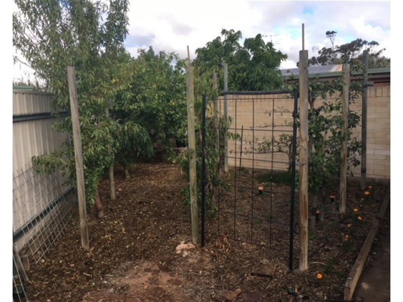 78 Railway Tce East, Snowtown SA 5520