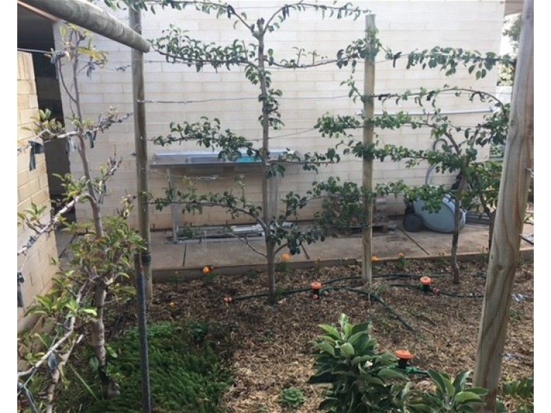 78 Railway Tce East, Snowtown SA 5520