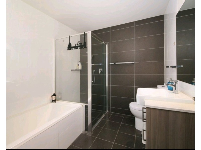 303/10-12  Allen St, Wolli Creek NSW 2205