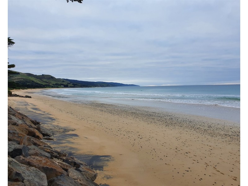 311 Great Ocean Road, Apollo Bay VIC 3233