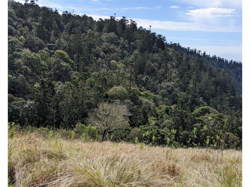 LOT 23/23 Firefly drive, Bunya Mountains QLD 4405