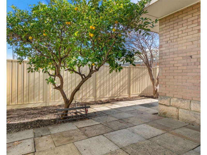 15 Michael Street, Yokine WA 6060