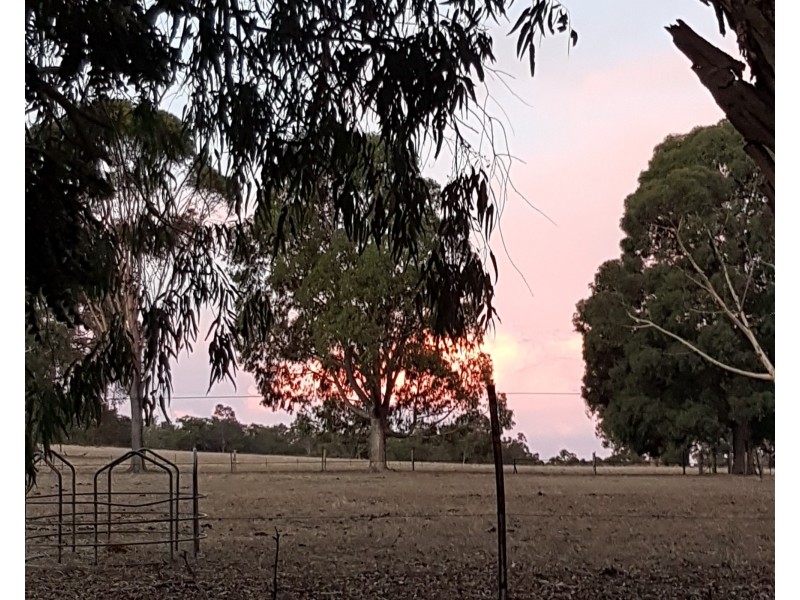 311 Patstone Road, Collie WA 6225