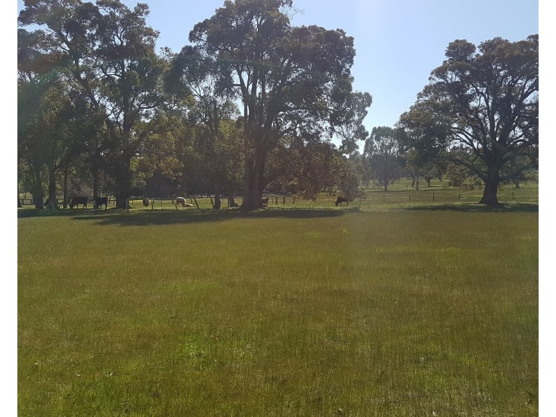 311 Patstone Road, Collie WA 6225