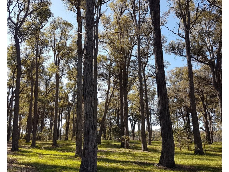 311 Patstone Road, Collie WA 6225