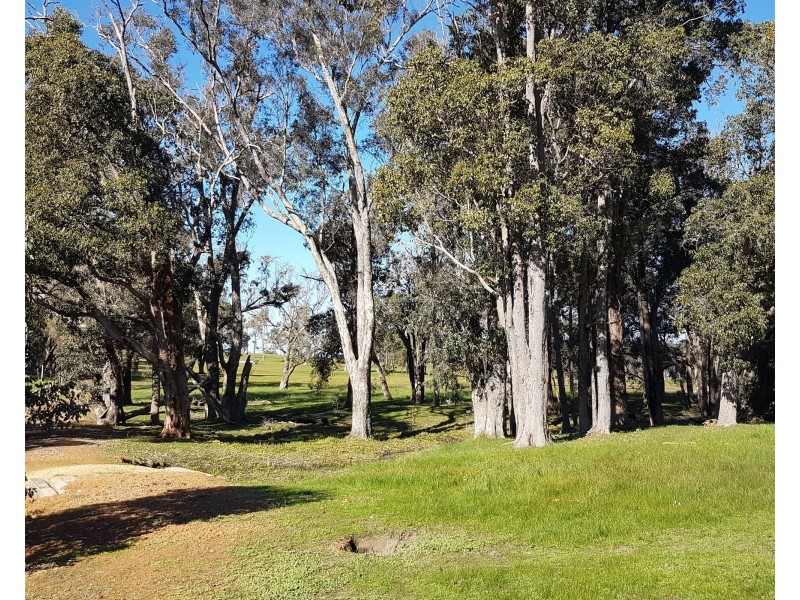 311 Patstone Road, Collie WA 6225