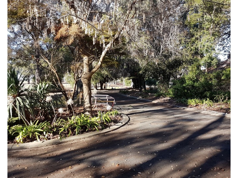 311 Patstone Road, Collie WA 6225