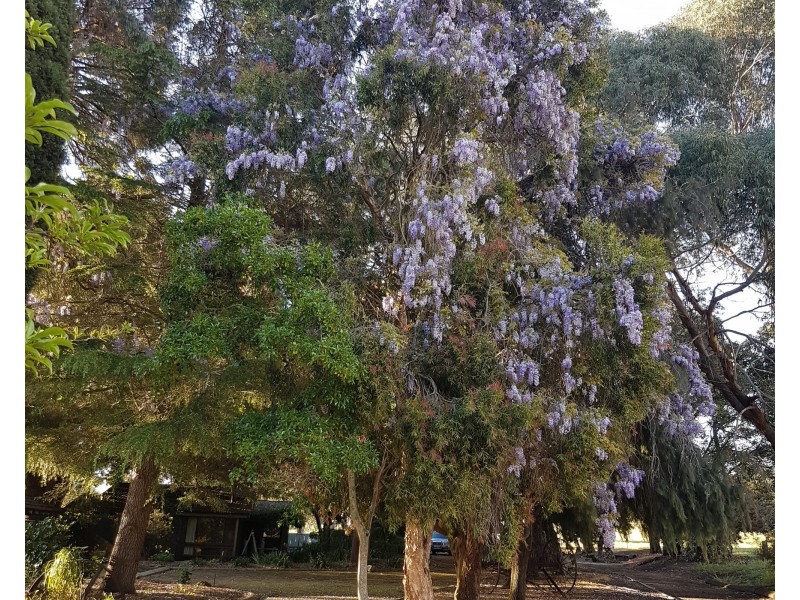 311 Patstone Road, Collie WA 6225