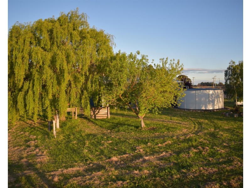170 Chopping Street, Manjimup WA 6258
