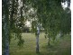 170 Chopping Street, Manjimup WA 6258