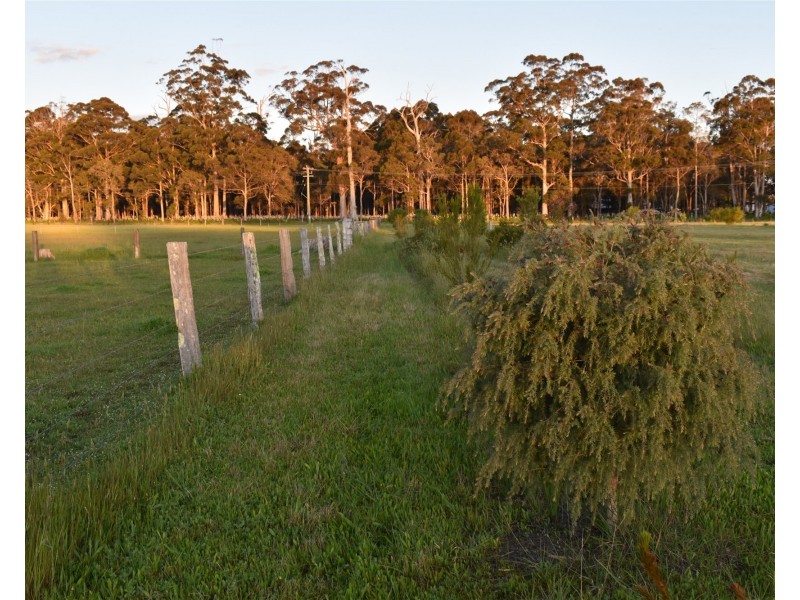170 Chopping Street, Manjimup WA 6258