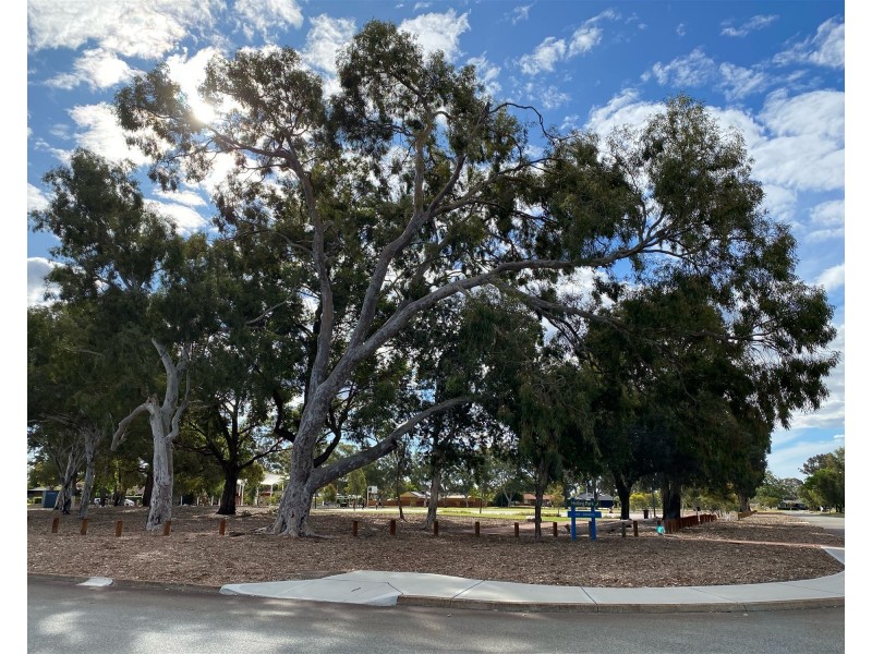 27 Holling street, Maddington WA 6109