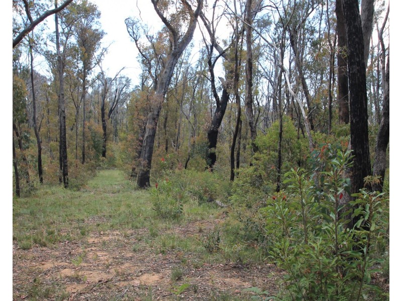 40 DONALD ROAD, Clarence NSW 2790