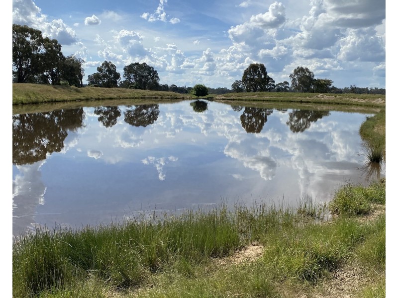 191 ELLIS ROAD, Tamleugh VIC 3669