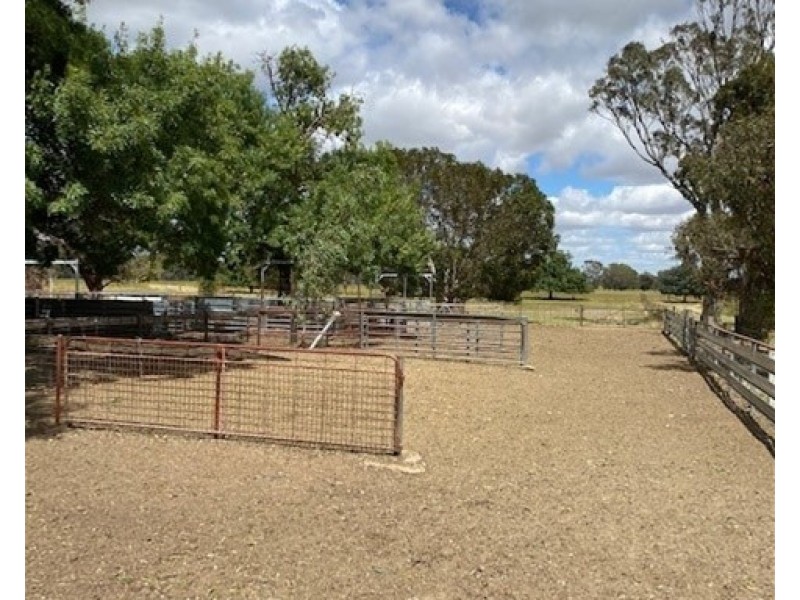 191 ELLIS ROAD, Tamleugh VIC 3669