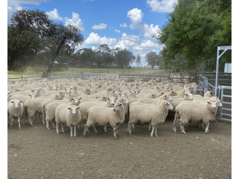 191 ELLIS ROAD, Tamleugh VIC 3669