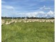 191 ELLIS ROAD, Tamleugh VIC 3669