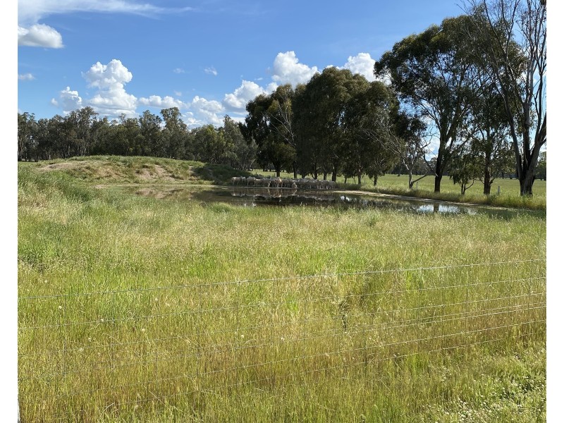 191 ELLIS ROAD, Tamleugh VIC 3669