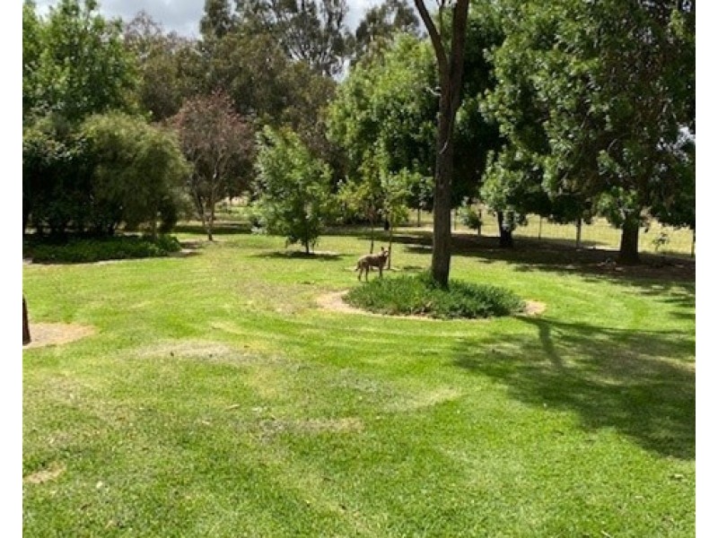 191 ELLIS ROAD, Tamleugh VIC 3669