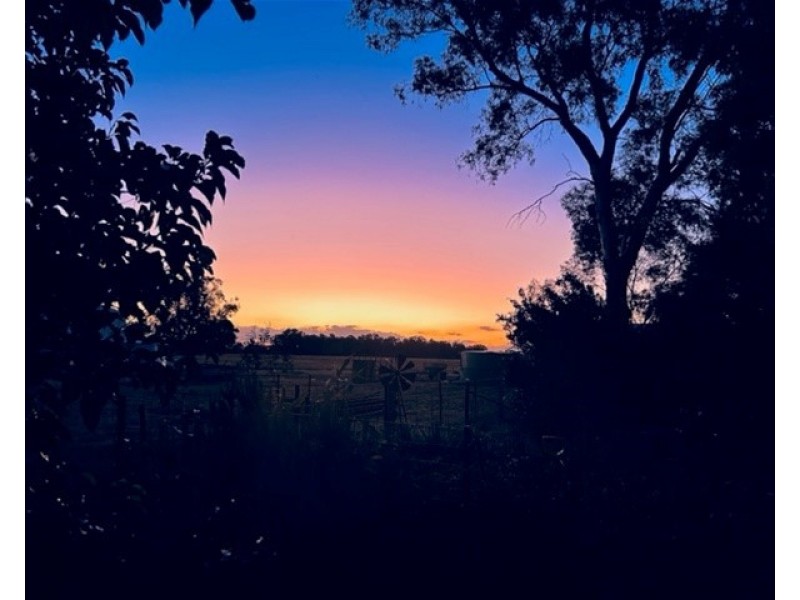 191 ELLIS ROAD, Tamleugh VIC 3669