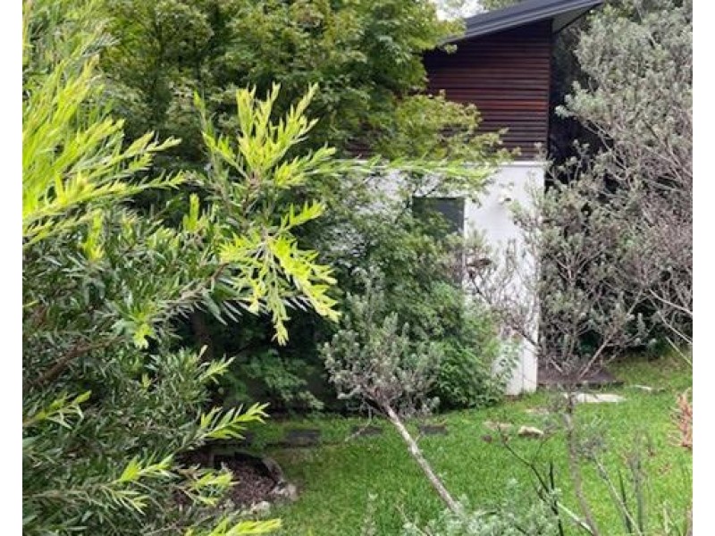 Villa/62 Abingdon Road, Roseville NSW 2069