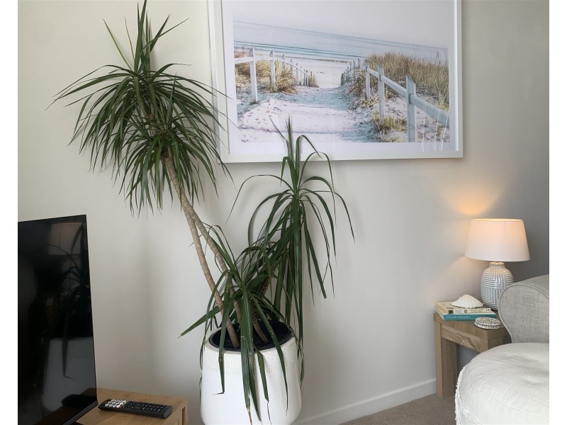 406/67 Watt st, Newcastle NSW 2300