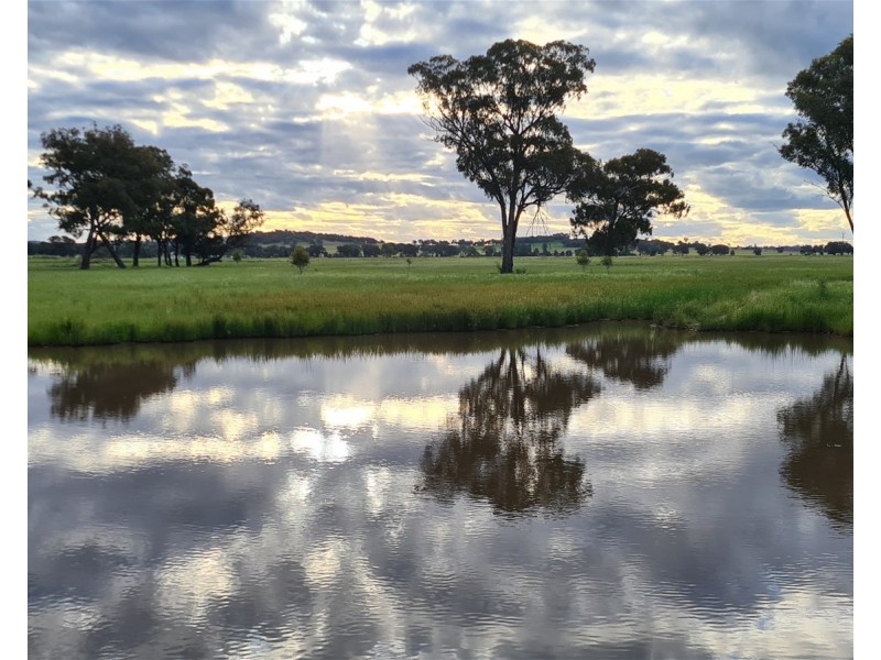 Lot 283/91 Old Wallendbeen Rd, Stockinbingal NSW 2725