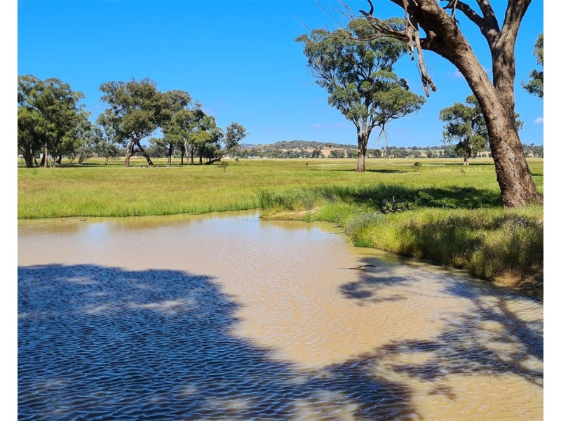 Lot 283/91 Old Wallendbeen Rd, Stockinbingal NSW 2725