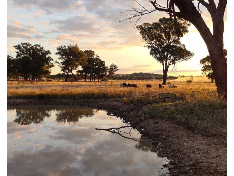 Lot 283/91 Old Wallendbeen Rd, Stockinbingal NSW 2725