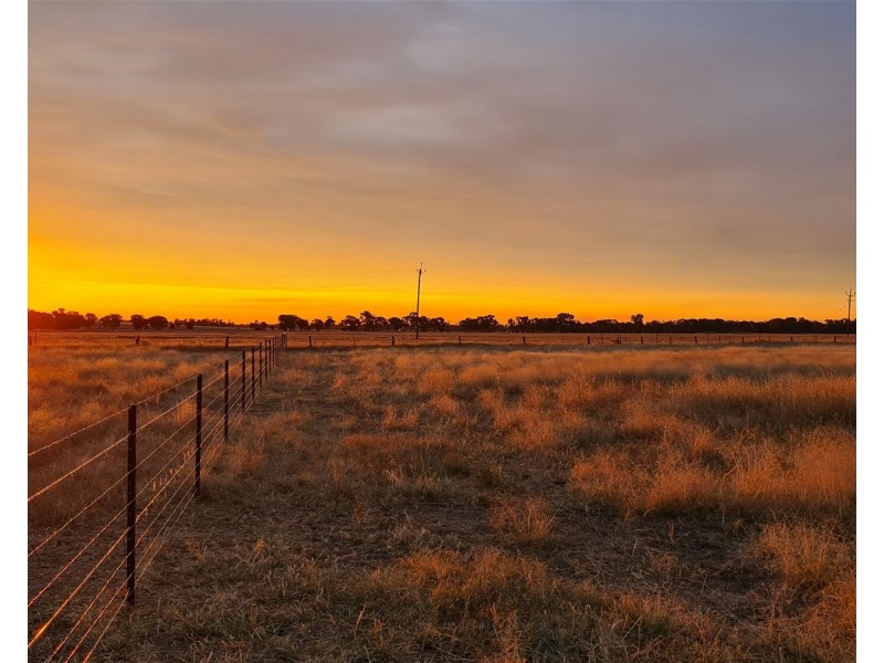 Lot 283/91 Old Wallendbeen Rd, Stockinbingal NSW 2725