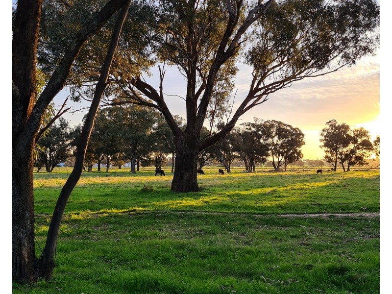 Lot 283/91 Old Wallendbeen Rd, Stockinbingal NSW 2725