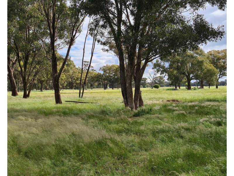 Lot 283/91 Old Wallendbeen Rd, Stockinbingal NSW 2725