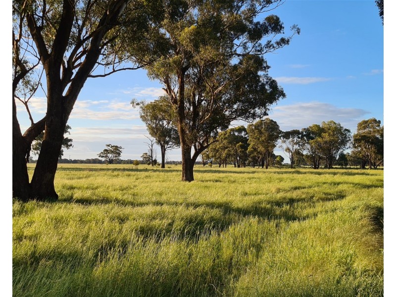 Lot 283/91 Old Wallendbeen Rd, Stockinbingal NSW 2725