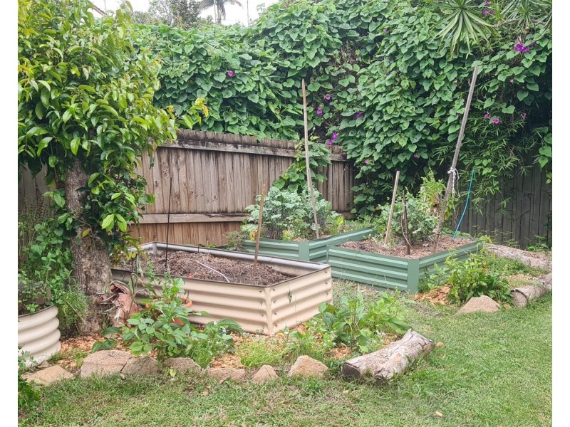 5 Ryces Drive, Clunes NSW 2480