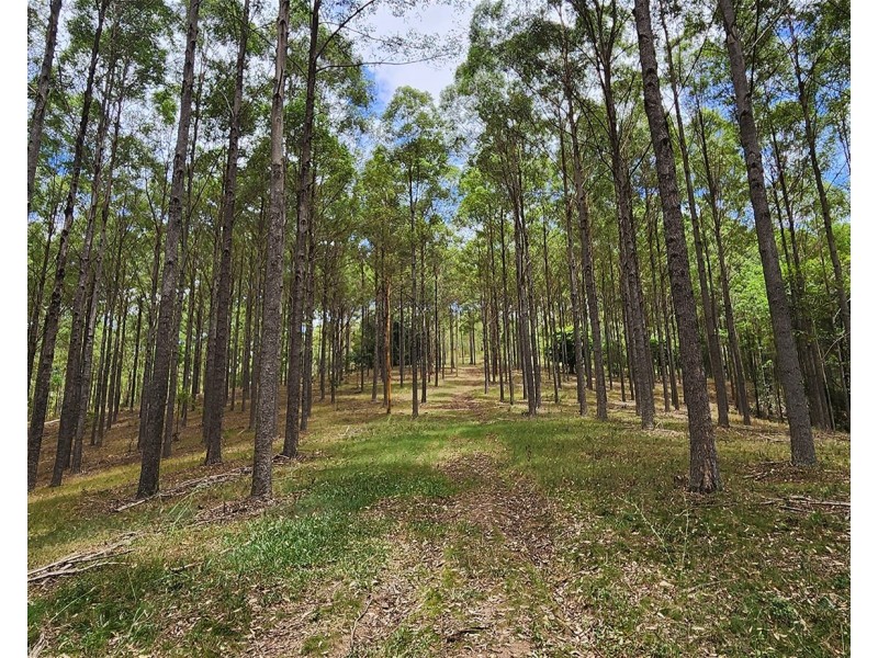 635 Spiller Road, Moy Pocket QLD 4574